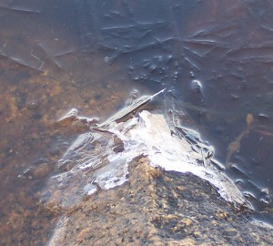 Ice on a rock as the tide recedes
