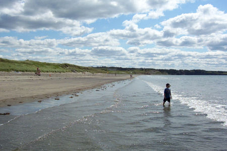 click for next image... slideshow image